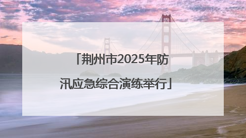 荆州市2025年防汛应急综合演练举行